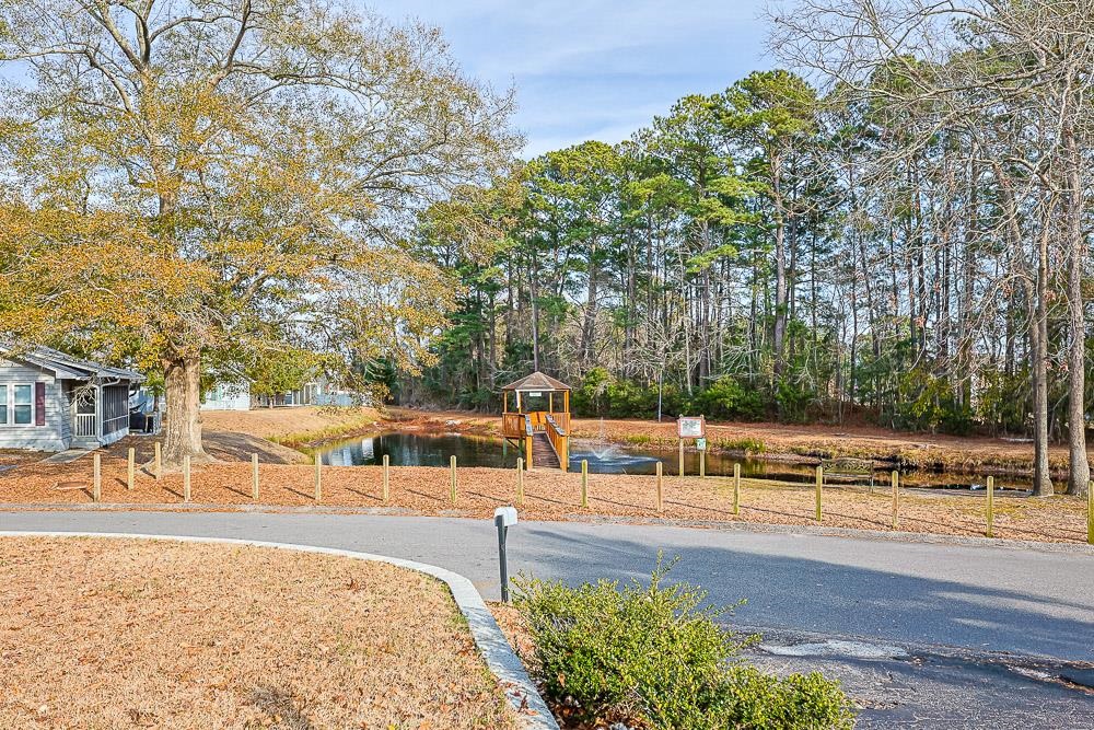 95 Channing Drive Little River, SC 29566 - Photo 32 of 33