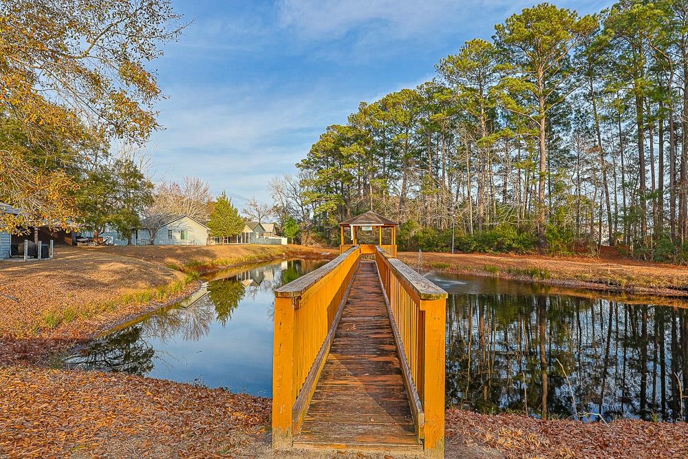 95 Channing Drive Little River, SC 29566 - Photo 33 of 33