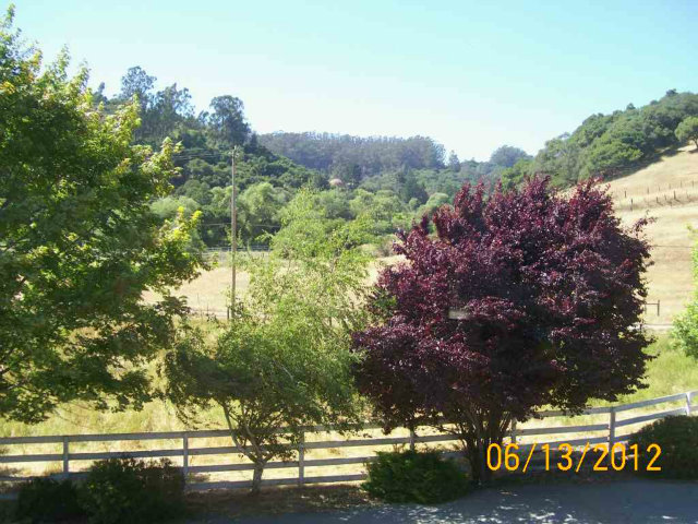 681 Cole Road Aromas, CA 95004 - Photo 22 of 23 Gallery Image 22
