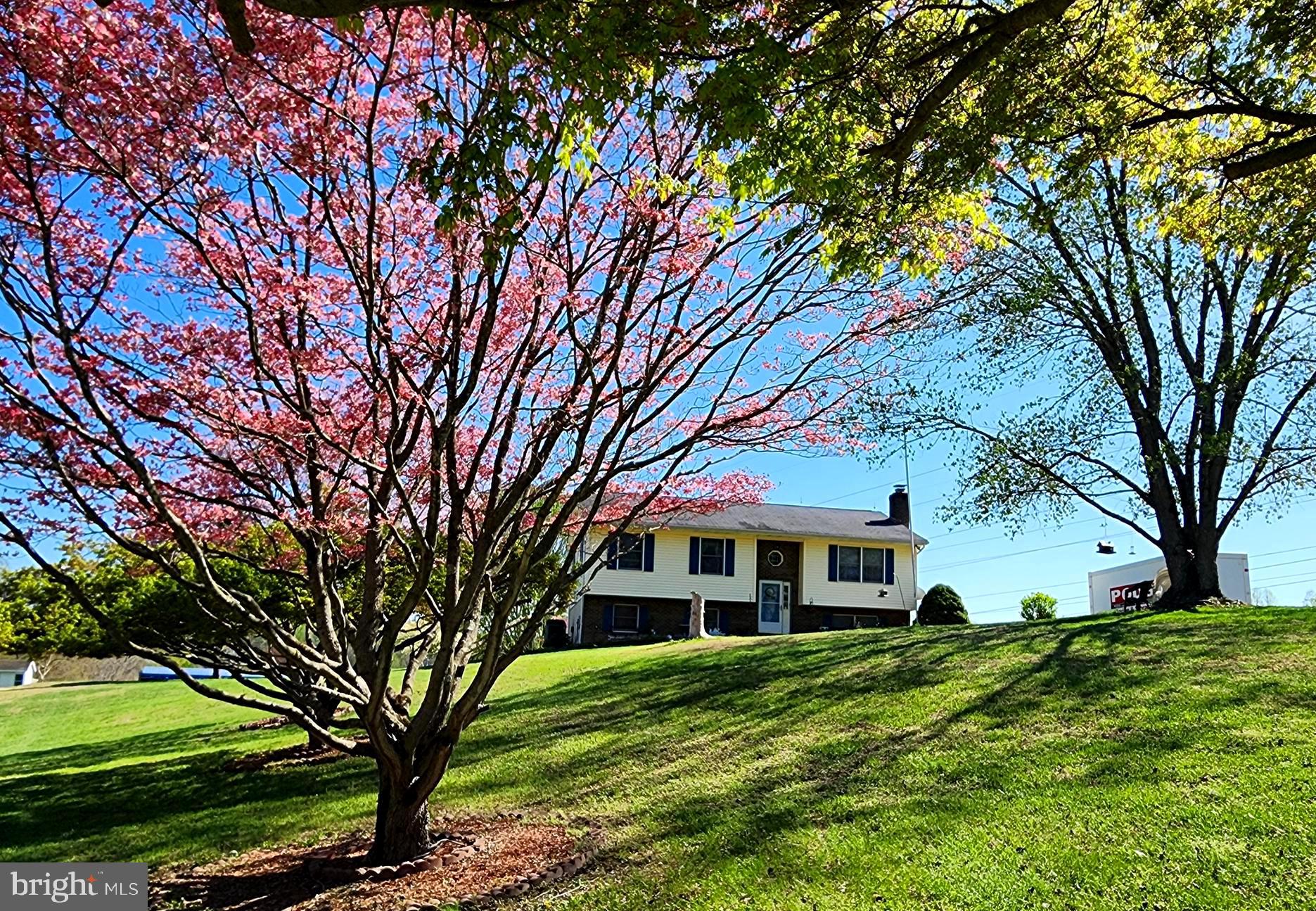 13605 Martin Road Brandywine, MD 20613 - Photo 2 of 105 Beautiful Landscape!