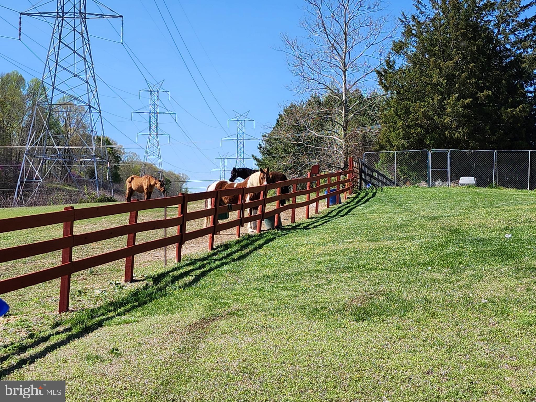 13605 Martin Road Brandywine, MD 20613 - Photo 9 of 105 Gallery Image 9