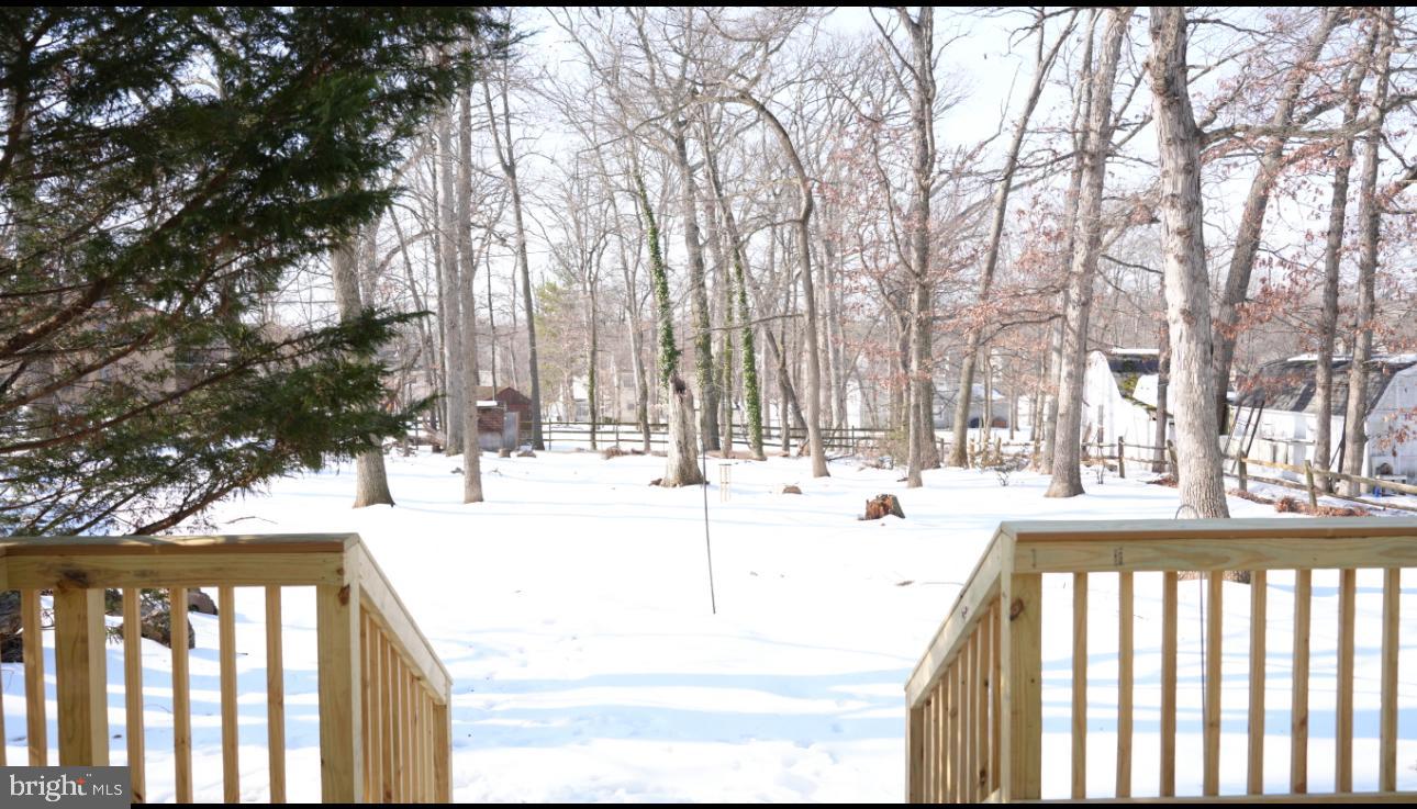 5114 Montgomery Road Ellicott City, MD 21043 - Photo 8 of 34 Winter's embrace in a serene woodland retreat.