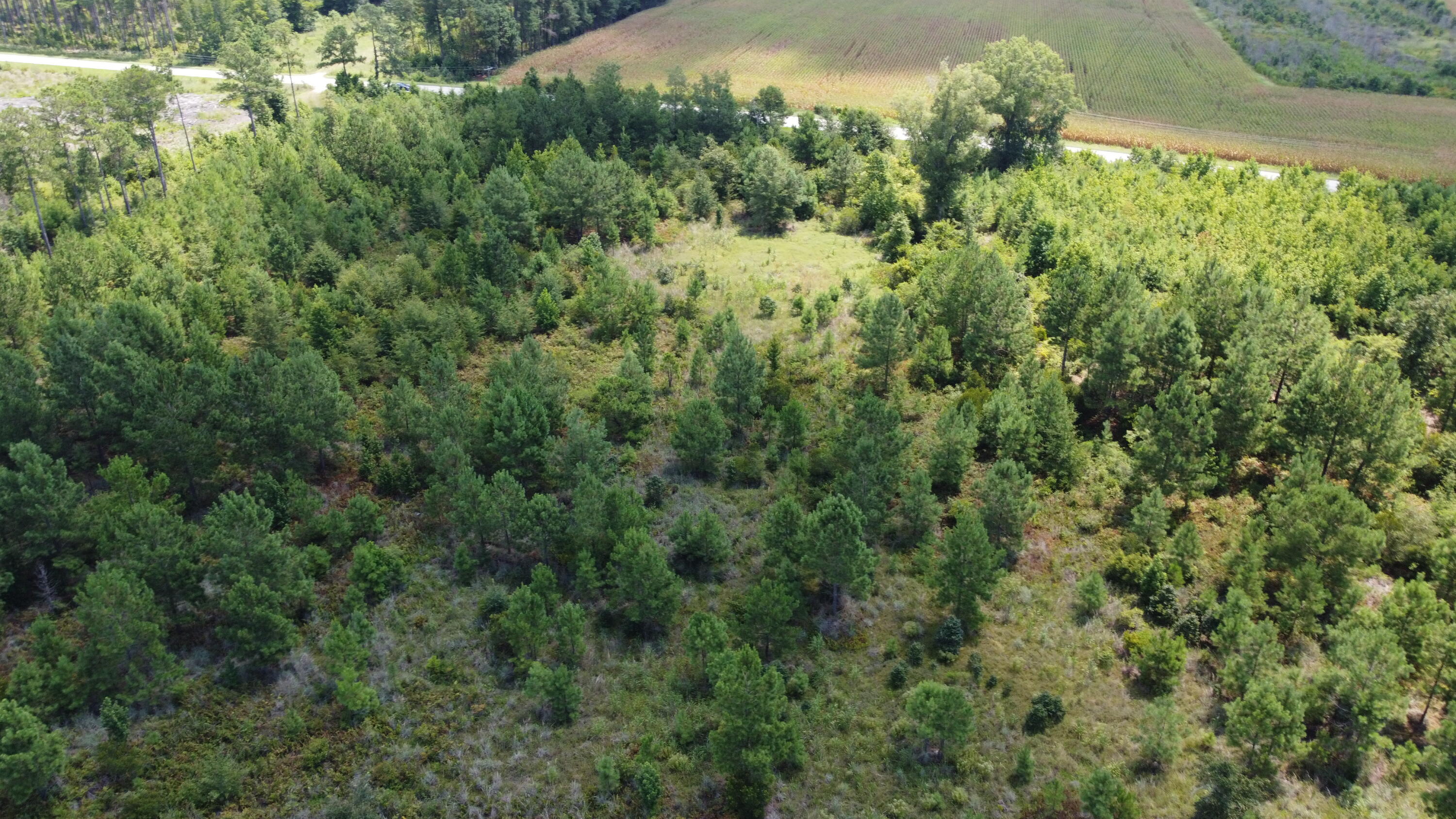 1 Farmington Road Gable, SC 29051 - Photo 12 of 20