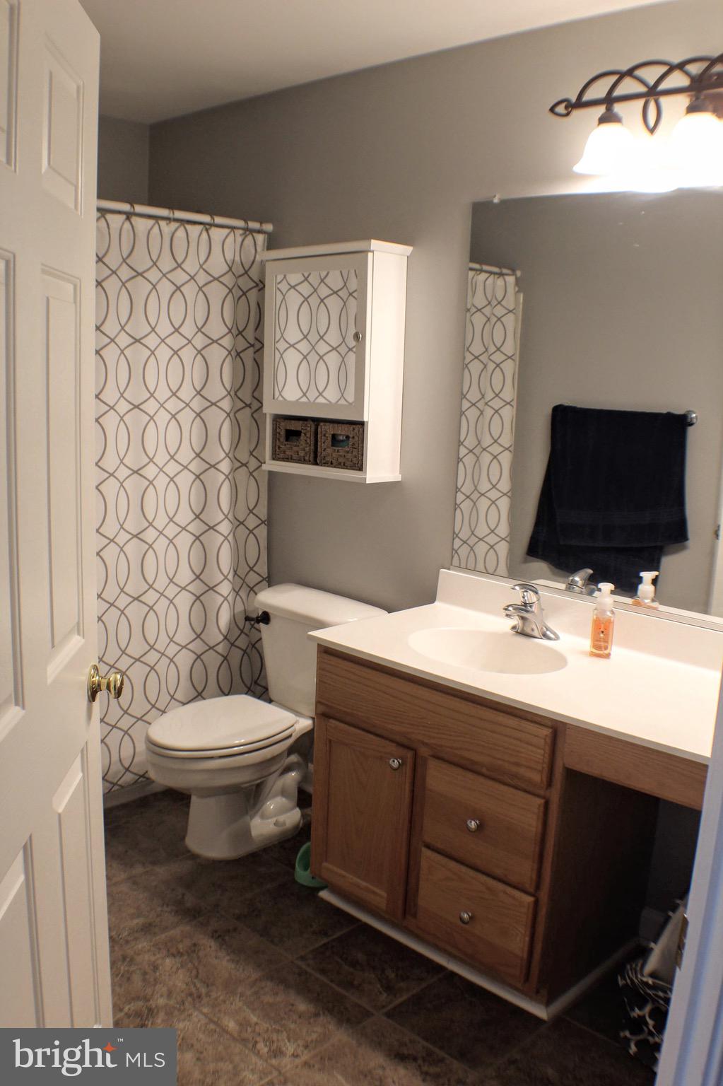 43059 Golf View Drive Chantilly, VA 20152 - Photo 33 of 46 Huge vanity!