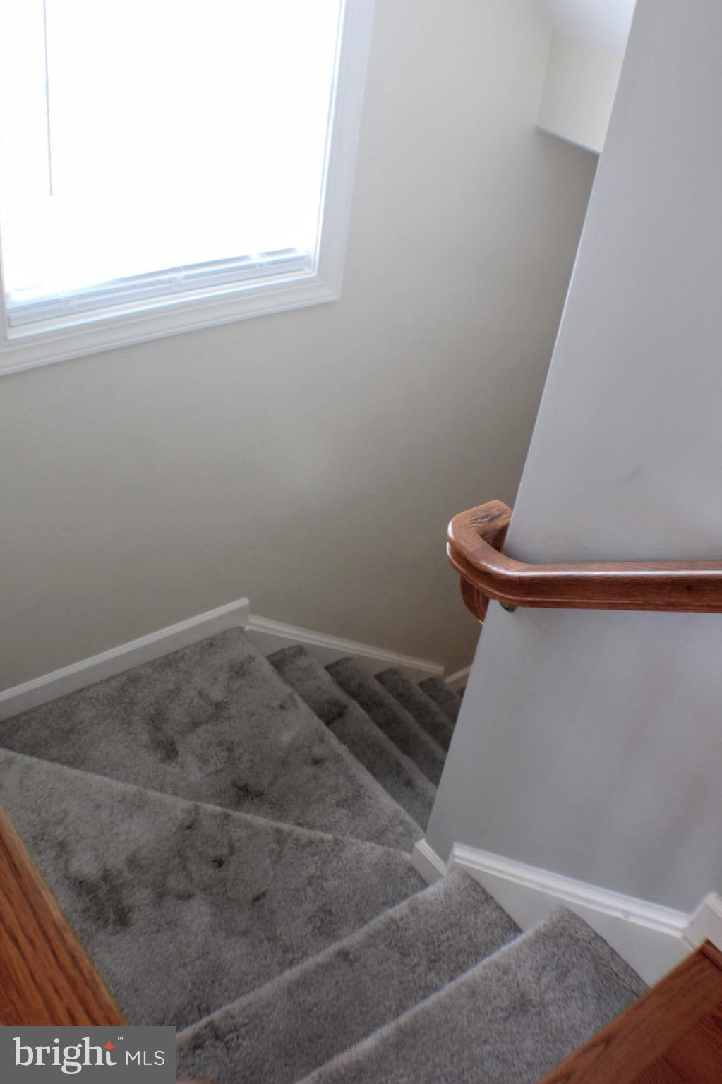 43059 Golf View Drive Chantilly, VA 20152 - Photo 34 of 46 Carpeted stairs to lower level