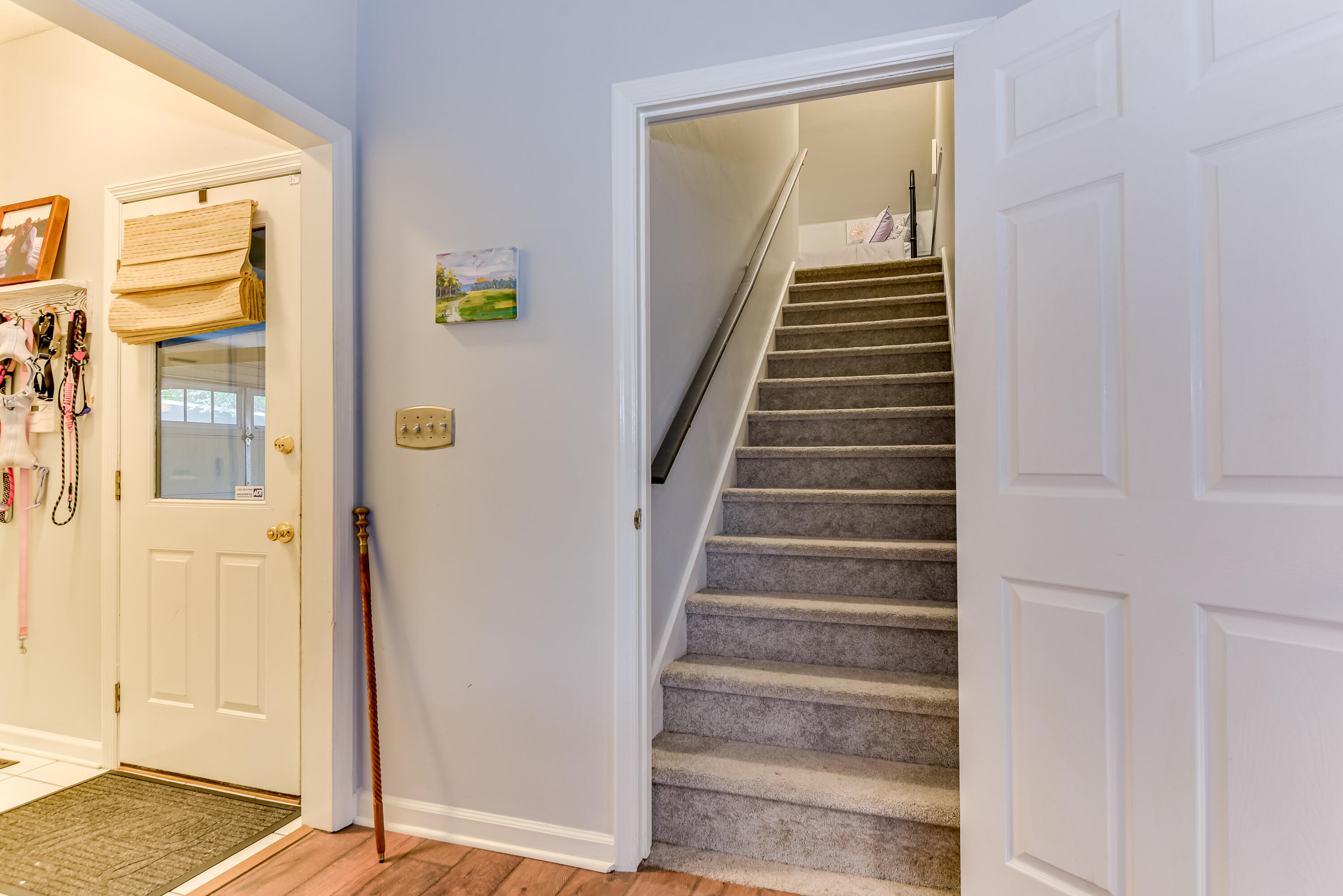 103 Cascade Drive North Augusta, SC 29841 - Photo 50 of 67 Stairs to FROG