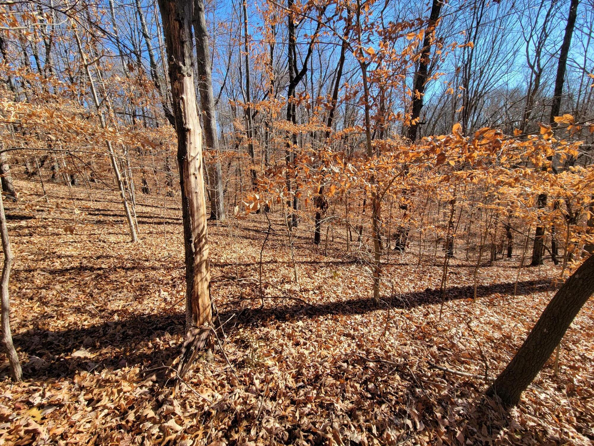 Lot 30 Gap Bridge Road Moneta, VA 24121 - Photo 3 of 5 a view of a yard
