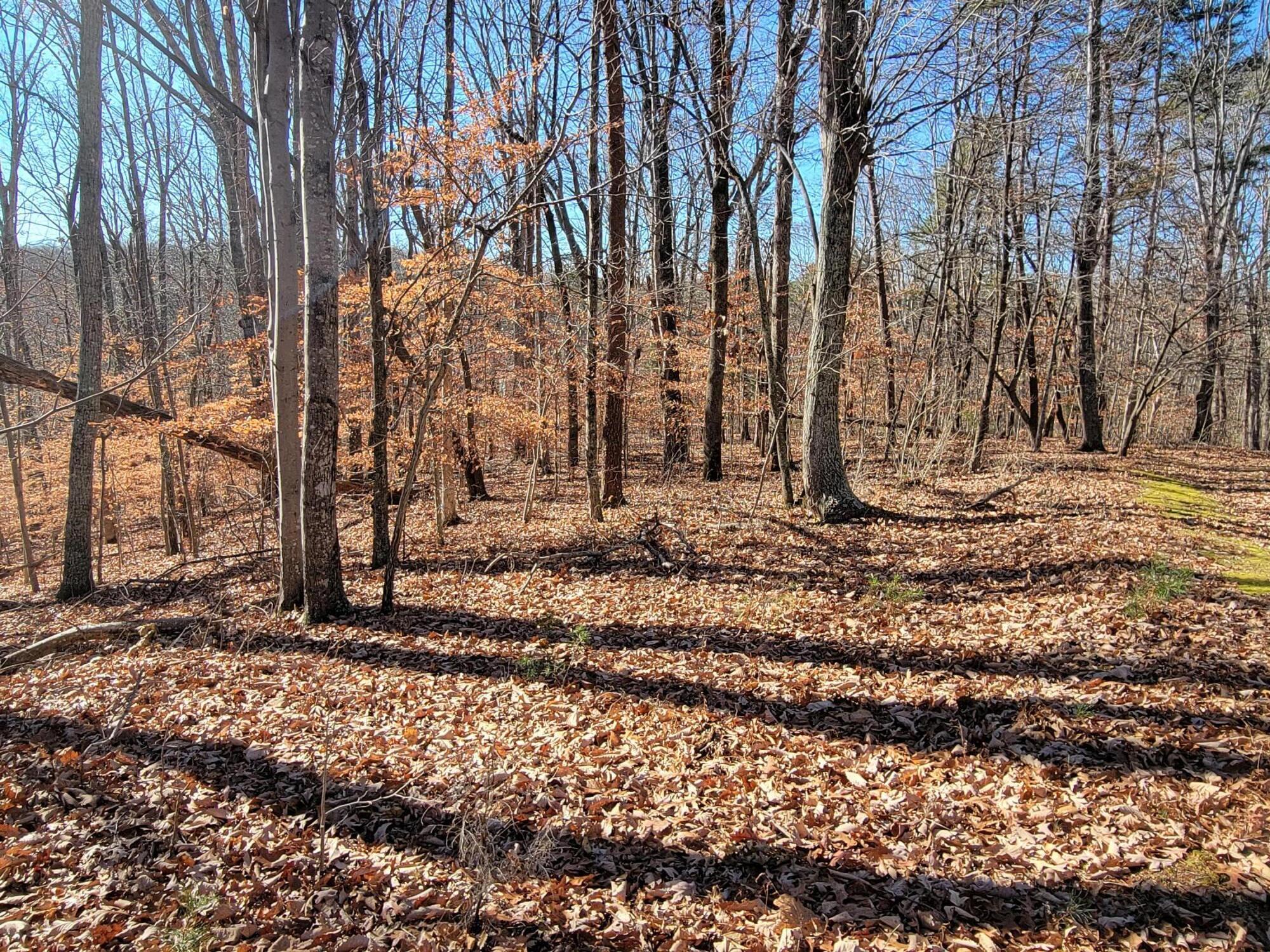 Lot 30 Gap Bridge Road Moneta, VA 24121 - Photo 4 of 5 a view of a backyard of the house