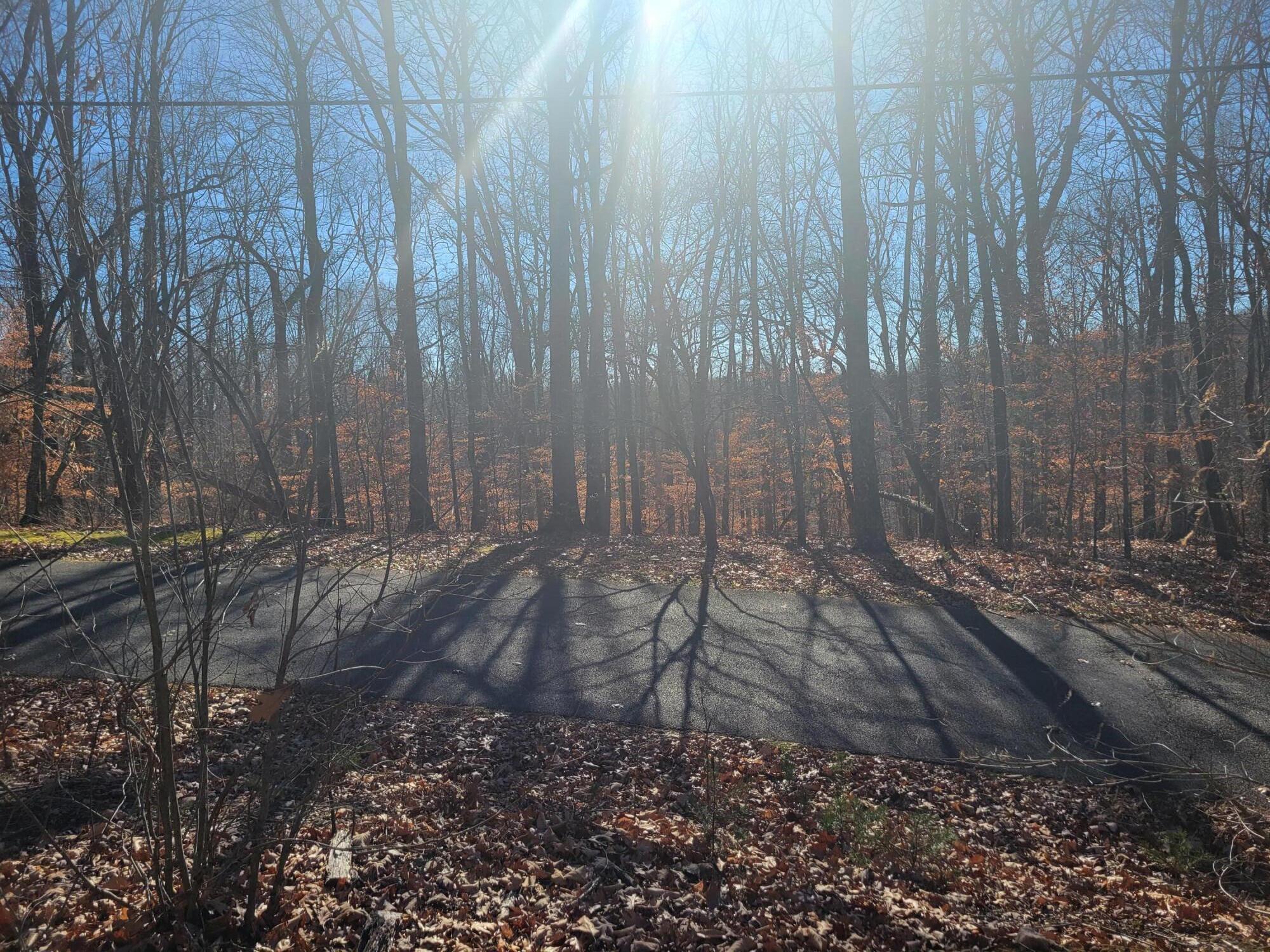 Lot 30 Gap Bridge Road Moneta, VA 24121 - Photo 5 of 5 a view of a backyard