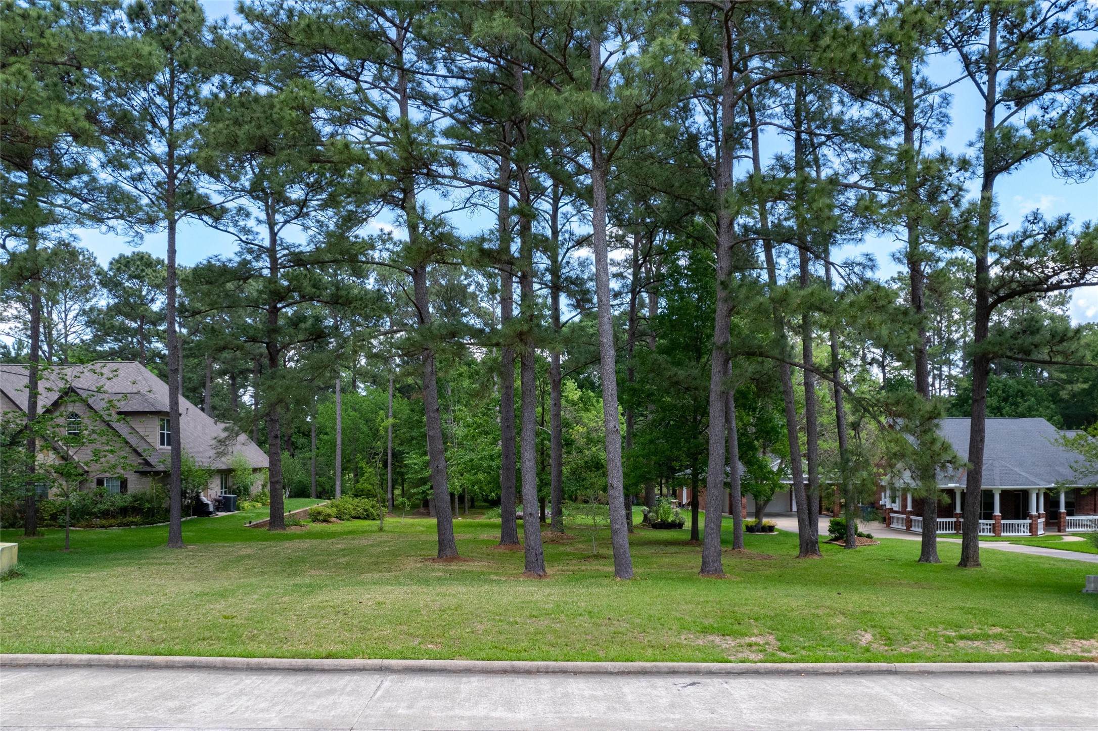 12868 Aries Loop Willis, TX 77318 - Photo 1 of 15 a view of a park with large trees