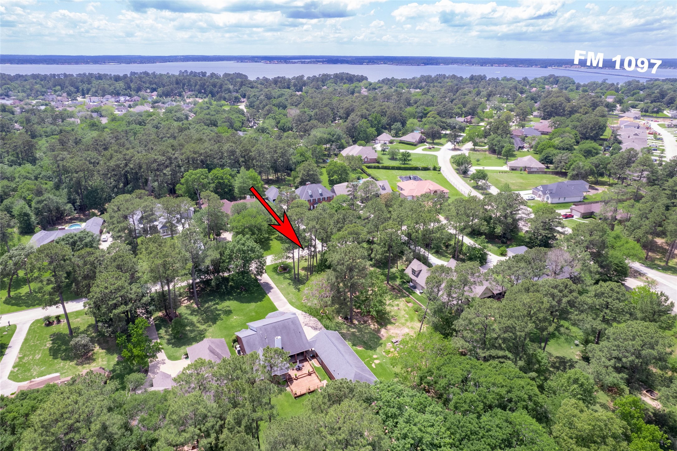 12868 Aries Loop Willis, TX 77318 - Photo 13 of 15