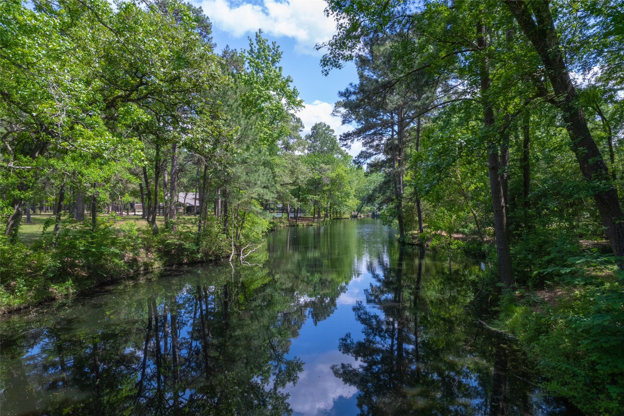 12868 Aries Loop Willis, TX 77318 - Photo 4 of 15