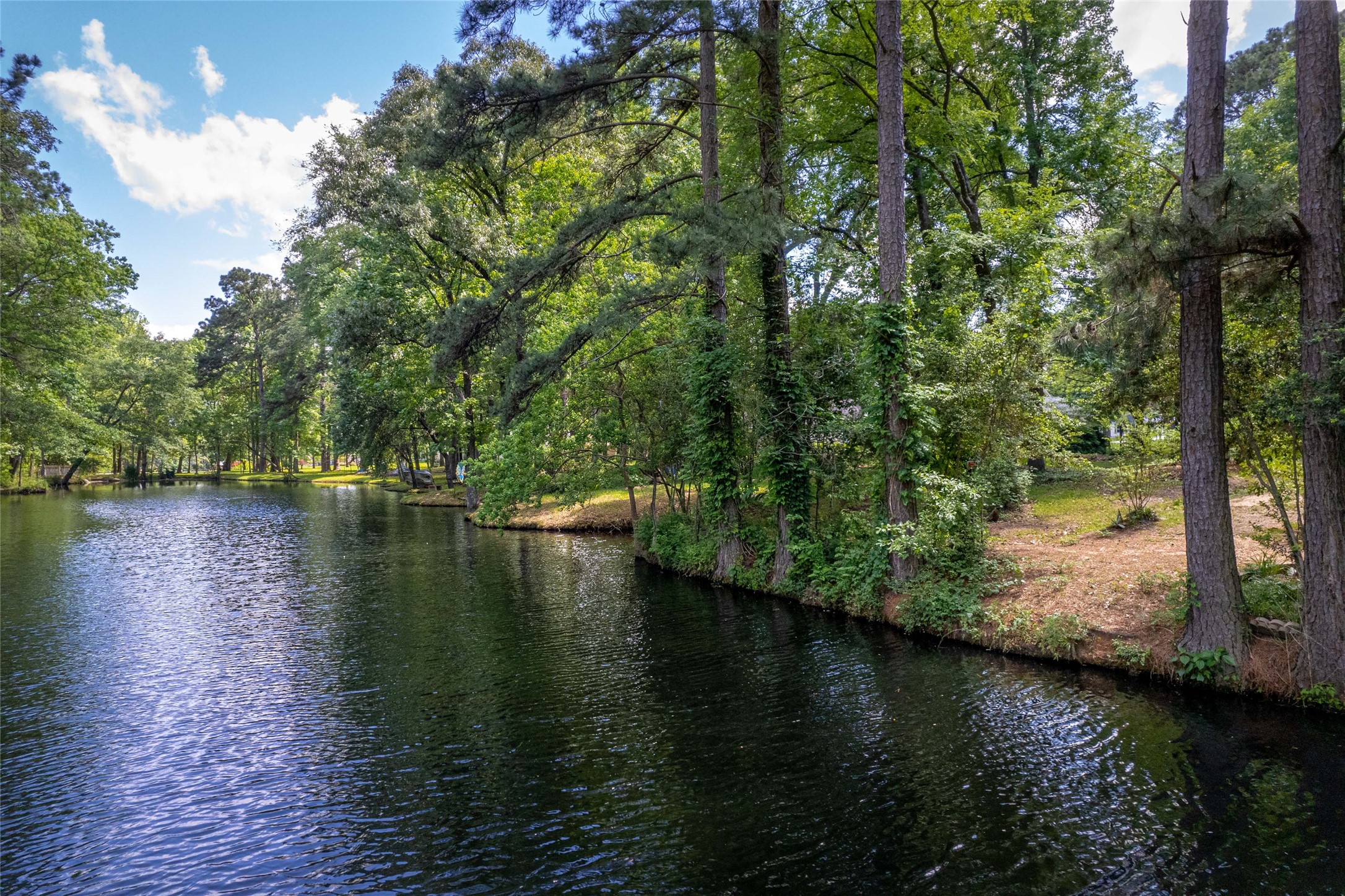 12868 Aries Loop Willis, TX 77318 - Photo 5 of 15