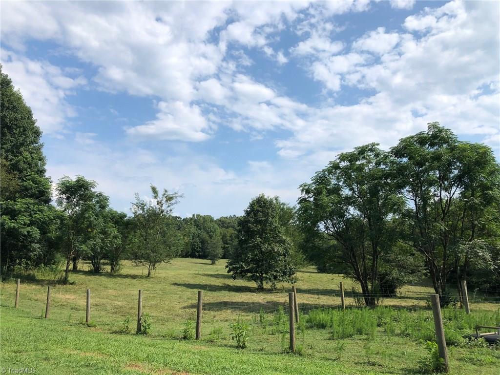 5956 Little Beane Store Road Seagrove, NC 27341 - Photo 16 of 17 Fenced pasture area