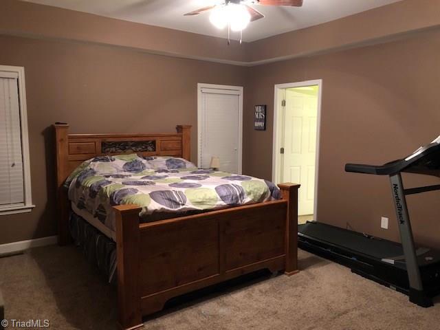 5956 Little Beane Store Road Seagrove, NC 27341 - Photo 8 of 17 Master bedroom with tray ceiling