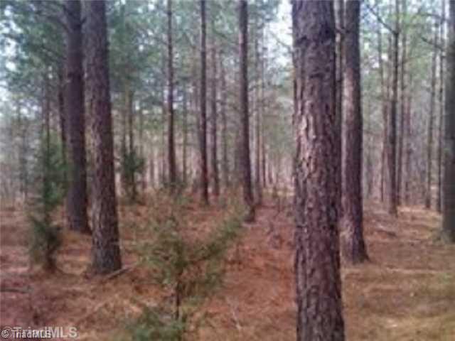 0 Cannon Ball Road Reidsville, NC 27320 - Photo 2 of 13 Land/Lot.