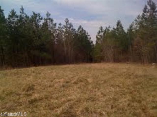 0 Cannon Ball Road Reidsville, NC 27320 - Photo 11 of 13 Land/Lot.