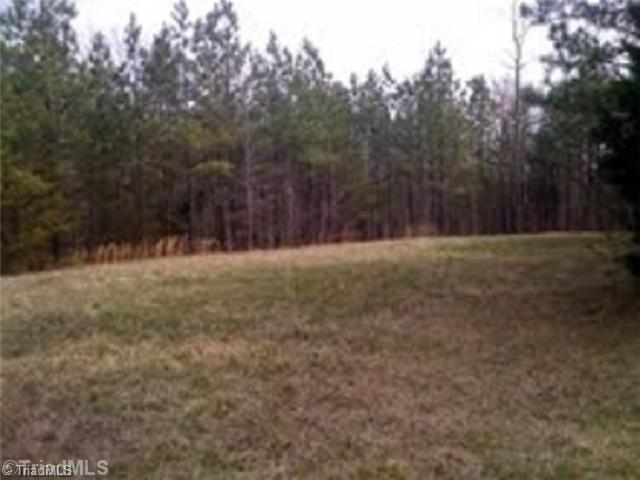 0 Cannon Ball Road Reidsville, NC 27320 - Photo 12 of 13 Land/Lot.