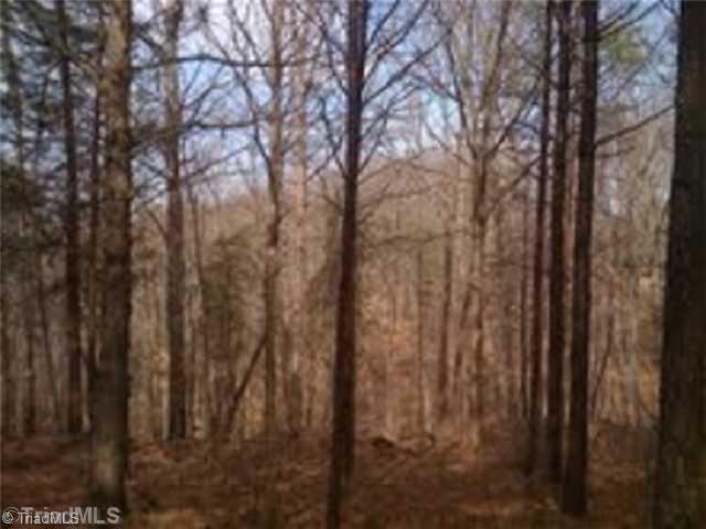 0 Cannon Ball Road Reidsville, NC 27320 - Photo 3 of 13 Land/Lot.