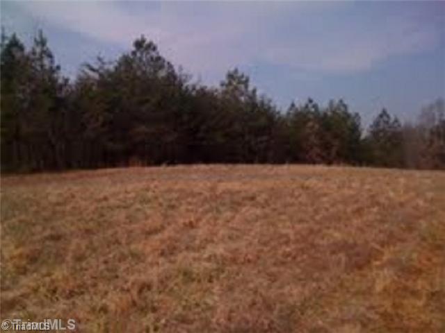 0 Cannon Ball Road Reidsville, NC 27320 - Photo 4 of 13 Land/Lot.