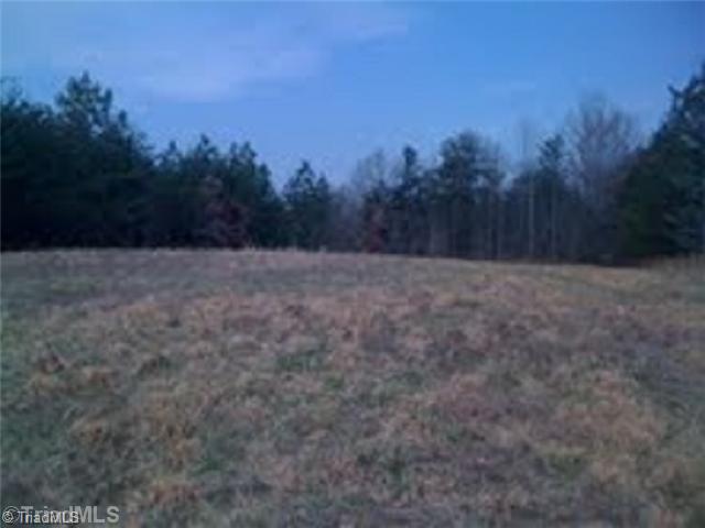 0 Cannon Ball Road Reidsville, NC 27320 - Photo 5 of 13 Land/Lot.