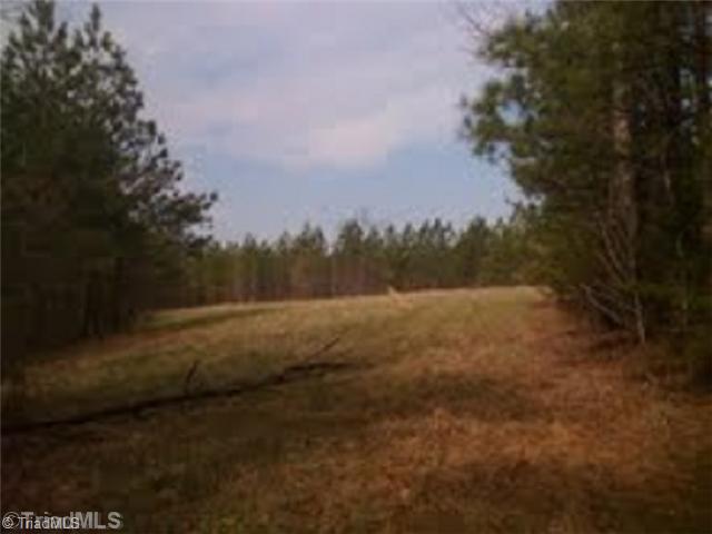 0 Cannon Ball Road Reidsville, NC 27320 - Photo 7 of 13 Land/Lot.