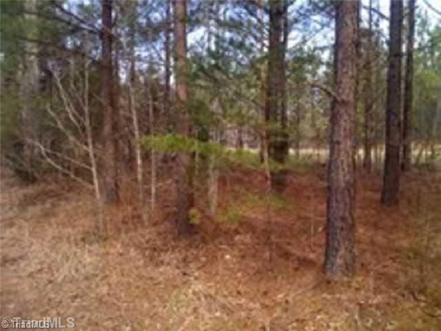 0 Cannon Ball Road Reidsville, NC 27320 - Photo 8 of 13 Land/Lot.