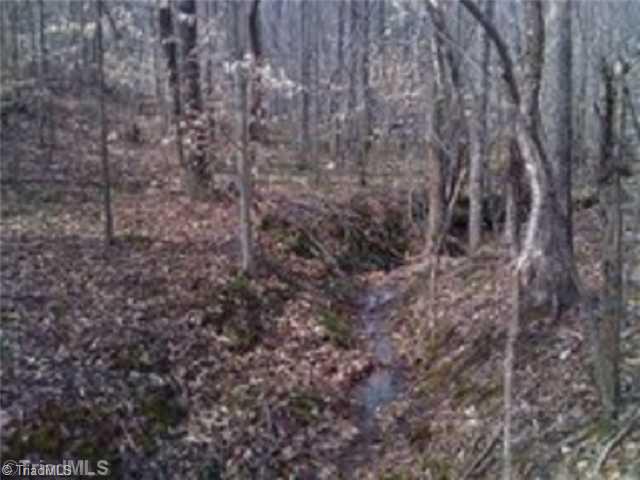 0 Cannon Ball Road Reidsville, NC 27320 - Photo 9 of 13 Land/Lot.