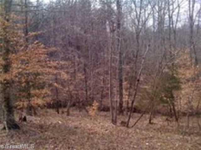0 Cannon Ball Road Reidsville, NC 27320 - Photo 10 of 13 Land/Lot.