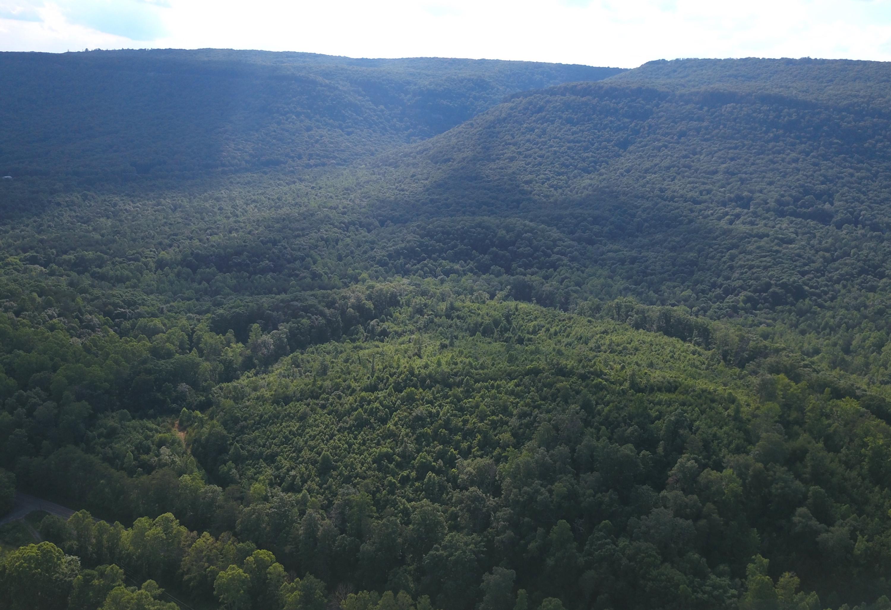 Tbd Cranmore Cove Road Dayton, TN 37321 - Photo 8 of 8 DJI_0099