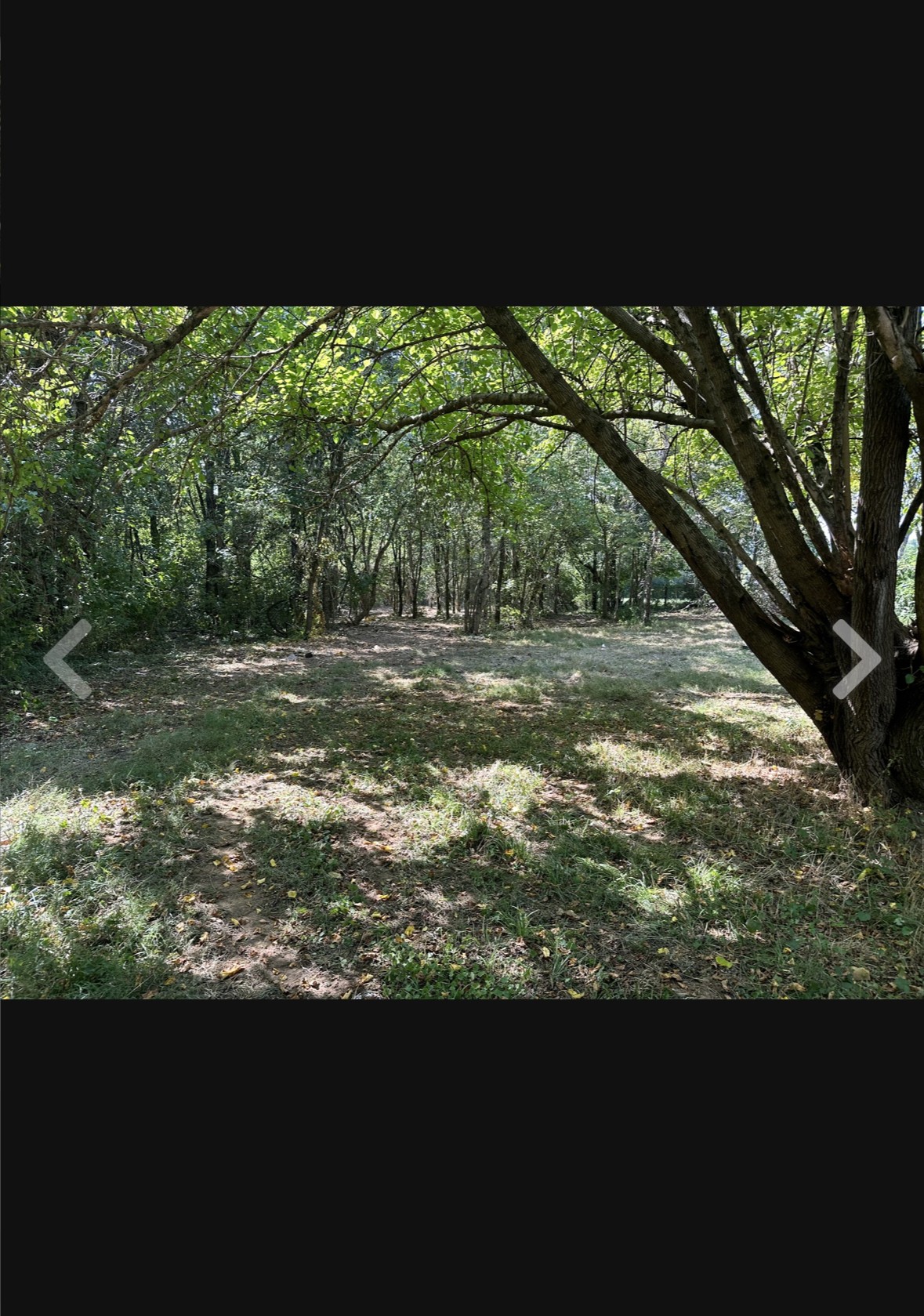 488 Sunset Point Road McMinnville, TN 37110 - Photo 3 of 5 a view of a yard