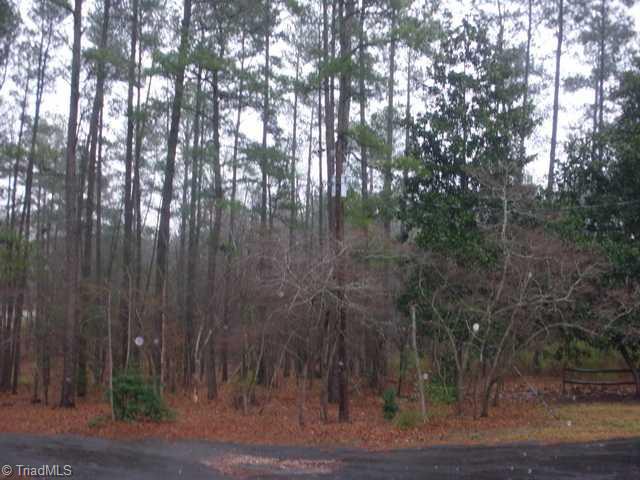 107 Skeen-Miller Road Biscoe, NC 27209 - Photo 9 of 10 Exterior Front. This is the extra 1.5 acre lot