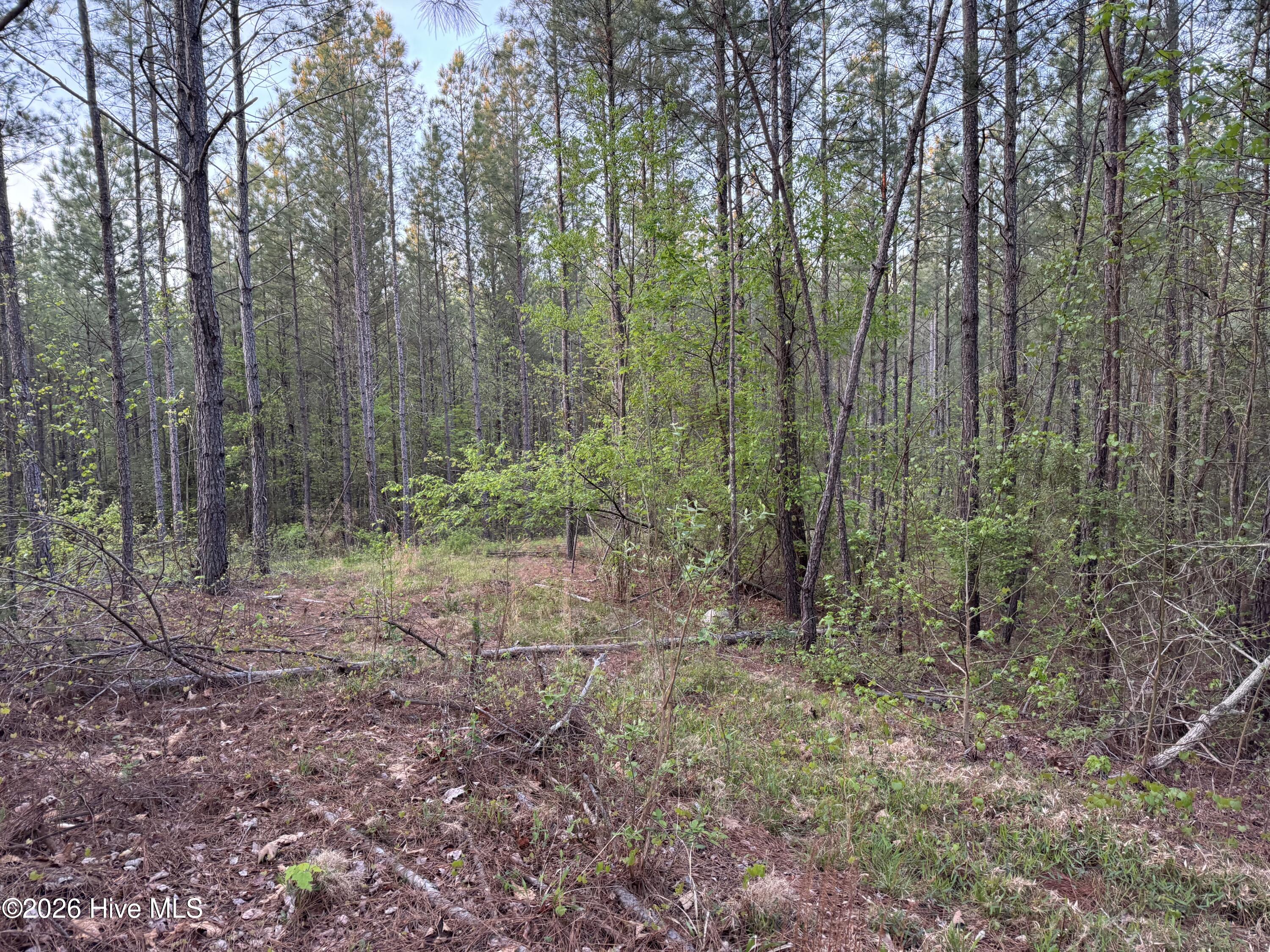 0 Cartledge Creek Road Rockingham, NC 28379 - Photo 28 of 32 Cartledge Creek