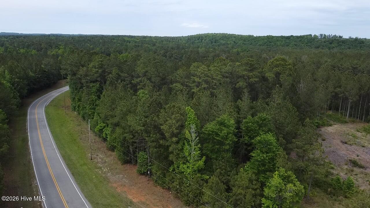 0 Cartledge Creek Road Rockingham, NC 28379 - Photo 3 of 32 Cartledge Creek
