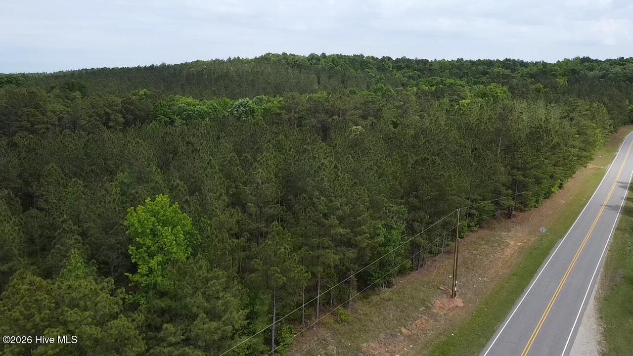 0 Cartledge Creek Road Rockingham, NC 28379 - Photo 5 of 32 Cartledge Creek