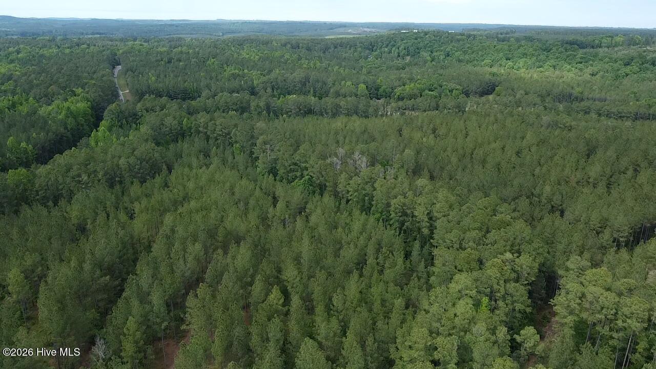 0 Cartledge Creek Road Rockingham, NC 28379 - Photo 6 of 32 Cartledge Creek
