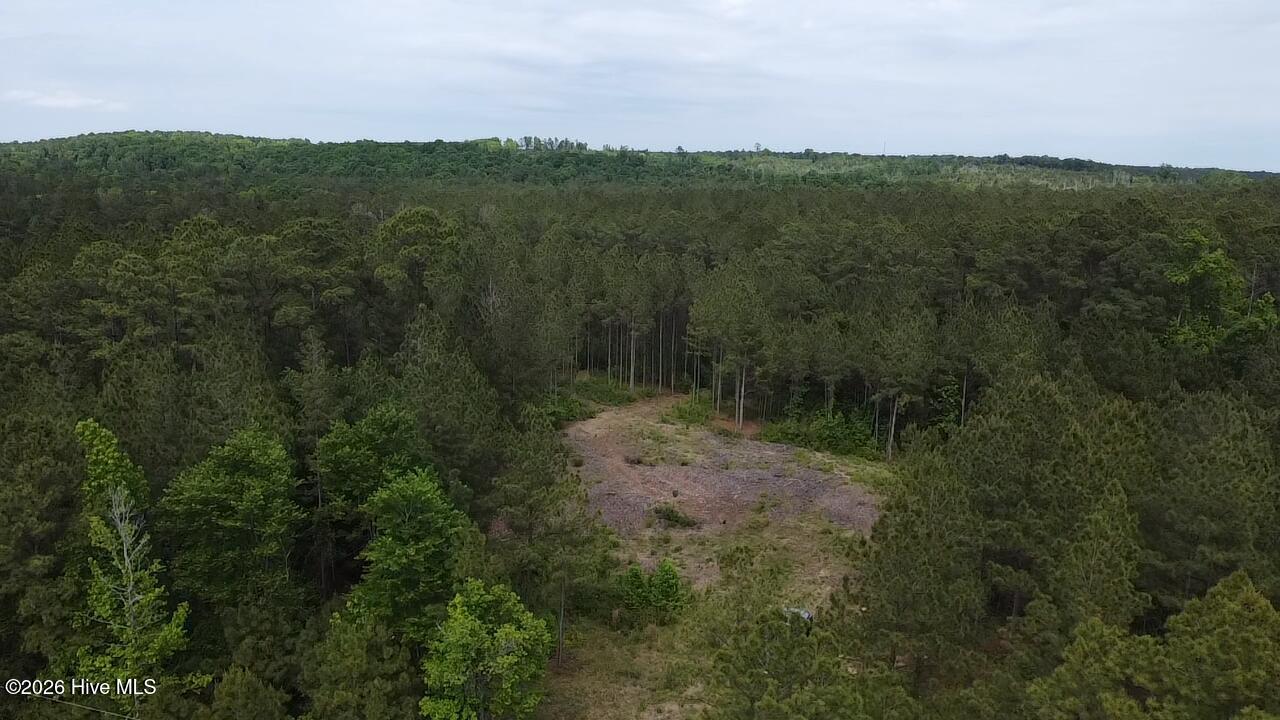 0 Cartledge Creek Road Rockingham, NC 28379 - Photo 8 of 32 Cartledge Creek