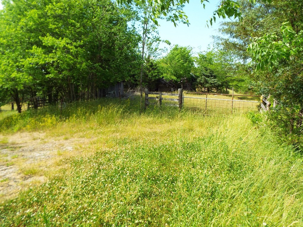 2598 South Wesley Chapel Road Greeneville, TN 37745 - Photo 4 of 17