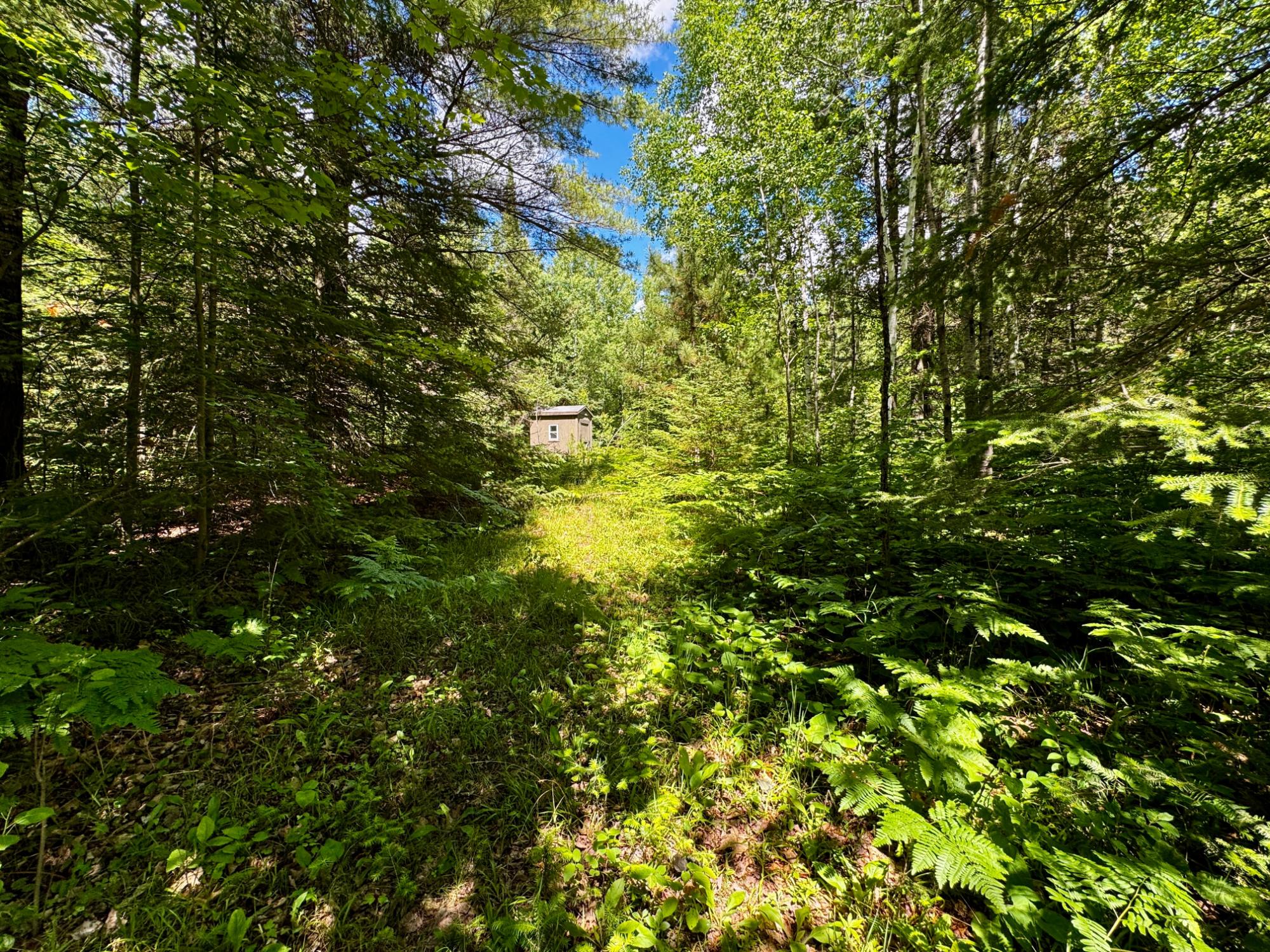 Nine Camp 9 Road Minocqua, WI 54548 - Photo 28 of 37 Gallery Image 28