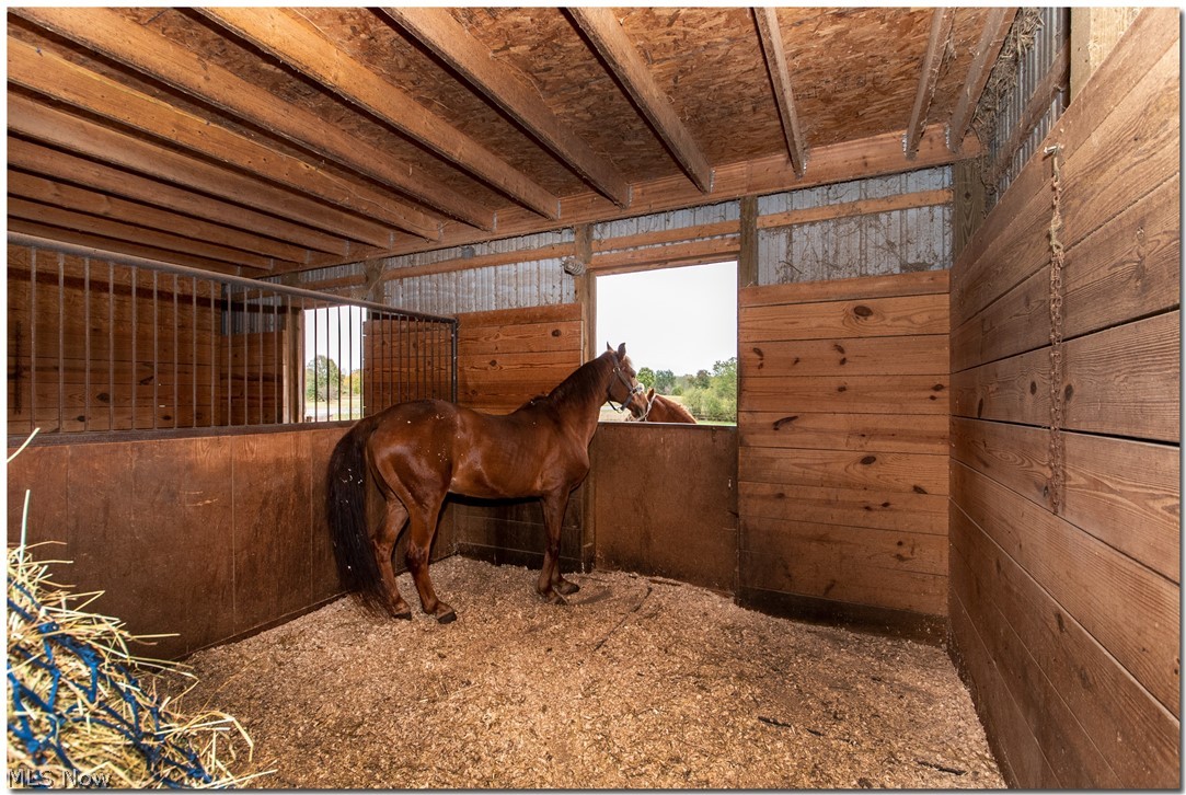 2220 Wilbur Road Medina, OH 44256 - Photo 22 of 31 12x12 Stalls w/ Dutch Doors