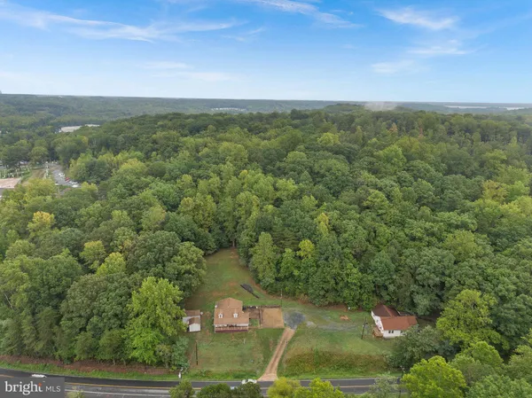 a view of a lush green forest with lots of trees