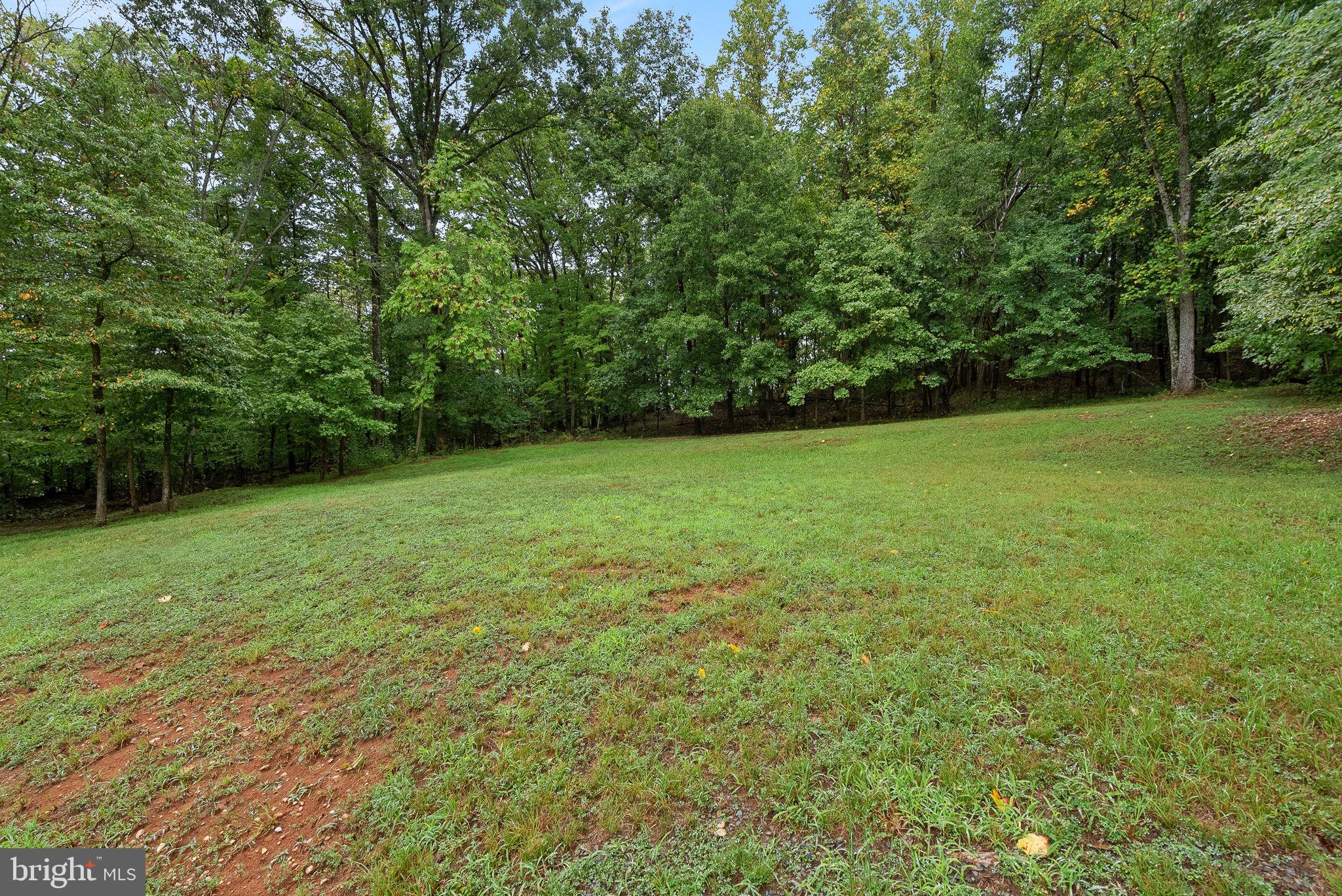 804 Telegraph Road Stafford, VA 22554 - Photo 6 of 39 a view of a green yard