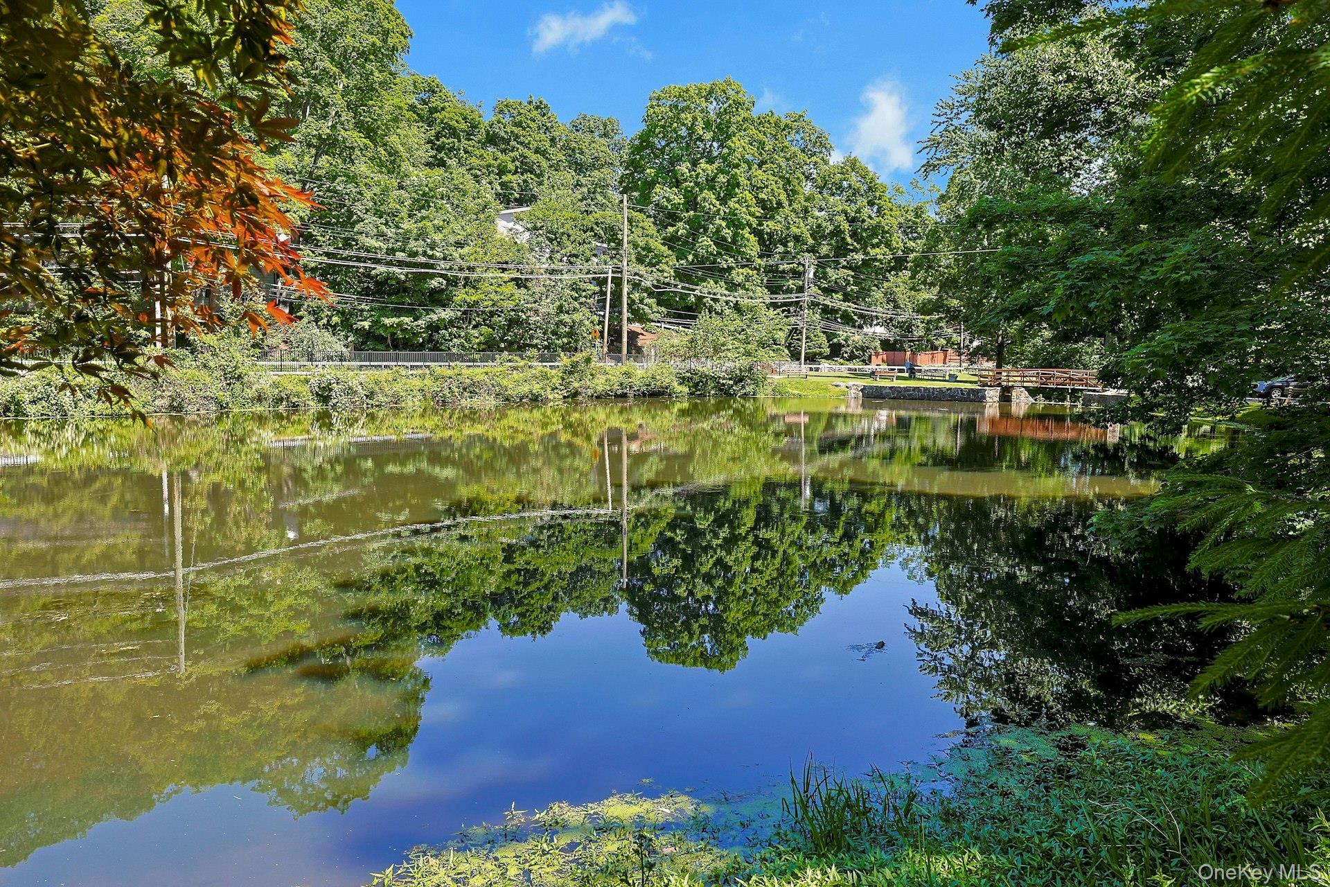 65 Douglas Road Chappaqua, NY 10514 - Photo 3 of 41 A storybook setting that invites you to slow down and stay awhile. The spring-fed duck pond creates a peaceful backdrop throughout the seasons, surrounded by lush landscaping and quiet natural beauty.