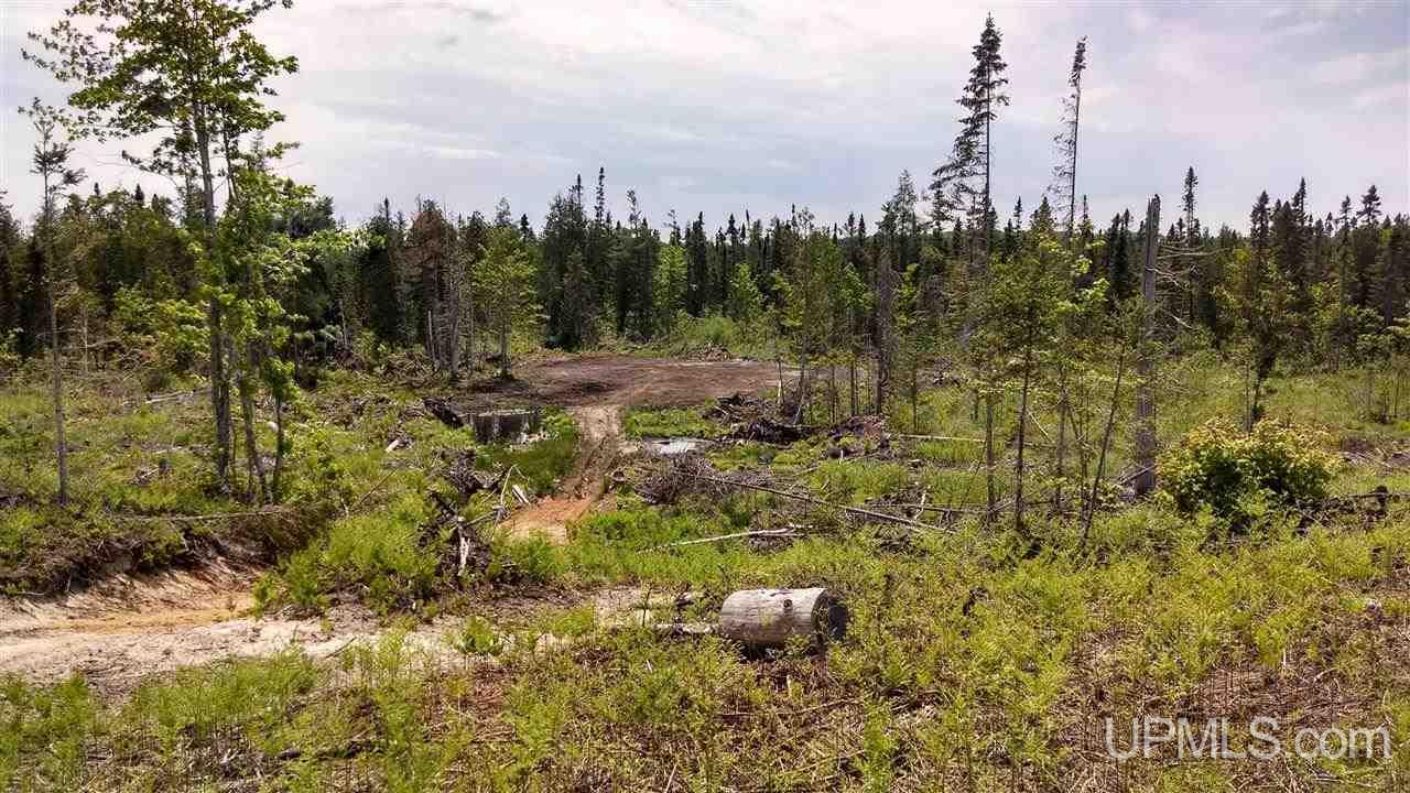 N1766 Old Plank Road Wetmore, MI 49895 - Photo 21 of 25