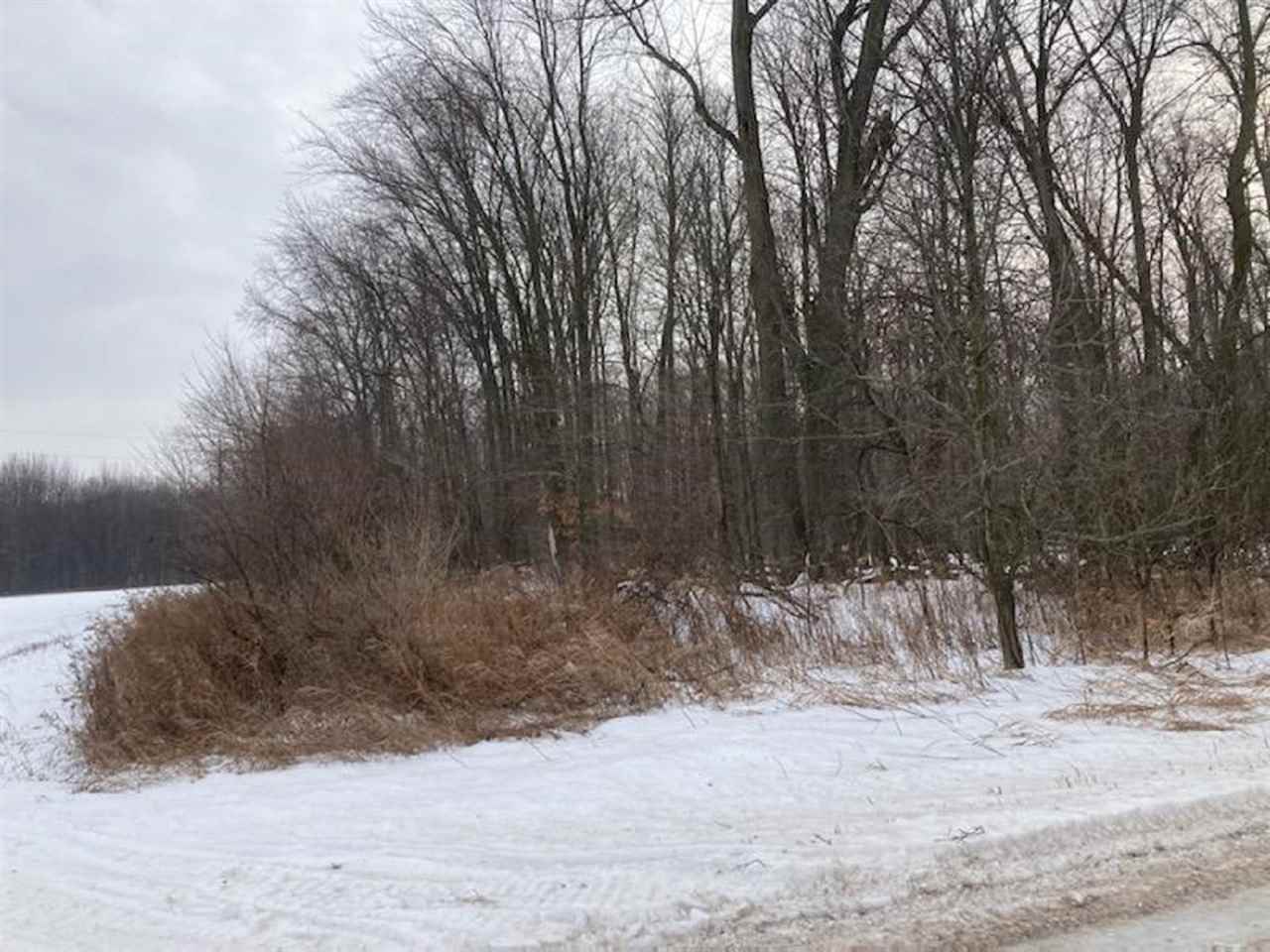 Tbd West Washington Road Sumner, MI 48889 - Photo 7 of 16 1883237-6.JPG