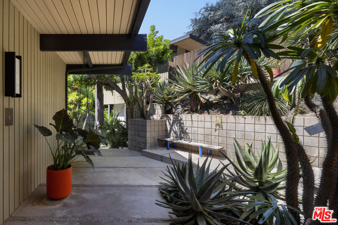 4520 Dundee Drive Los Angeles, CA 90027 - Photo 3 of 63 a view of a potted plants in front of a house