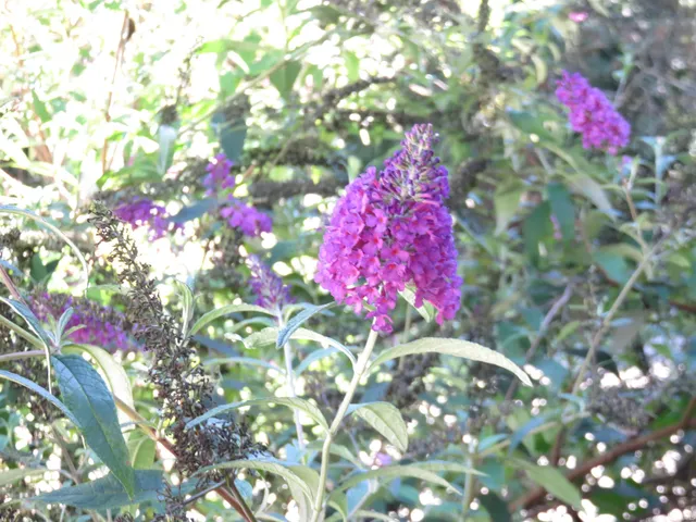 $299,000 | 910 East 2nd Street, Madison, IN 47250