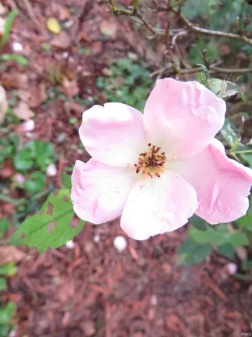 $299,000 | 910 East 2nd Street, Madison, IN 47250