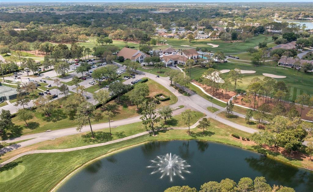 6409 Wedgewood Drive Spring Hill, FL 34606 - Photo 32 of 38 an aerial view of residential houses with outdoor space and lake view