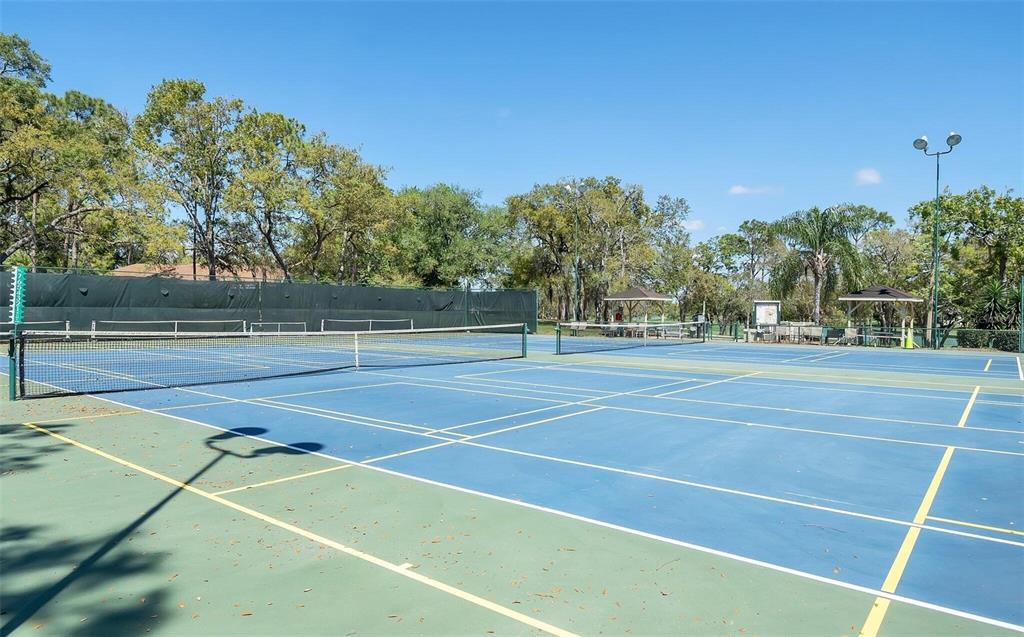6409 Wedgewood Drive Spring Hill, FL 34606 - Photo 34 of 38 a view of a tennis court